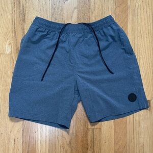 Chubbies gym swim hybrid short